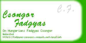 csongor fadgyas business card
